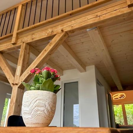Apartamento Zur Donauinsel Bad Abbach Exterior foto