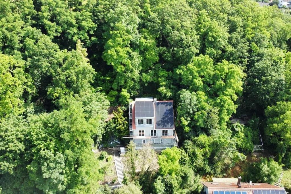 Apartamento Zur Donauinsel Bad Abbach Exterior foto